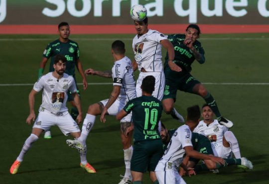 Palmeiras - Santos, la Final de la Libertadores