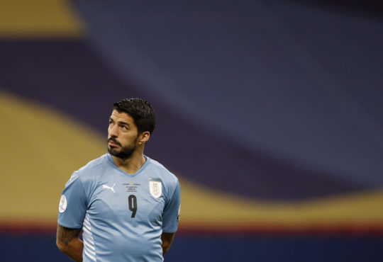 Suárez MLS