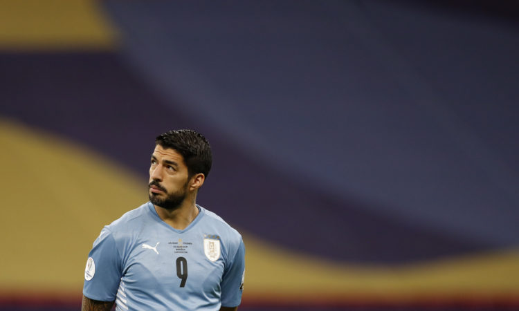 Suárez MLS